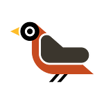 totem animal Black Bird